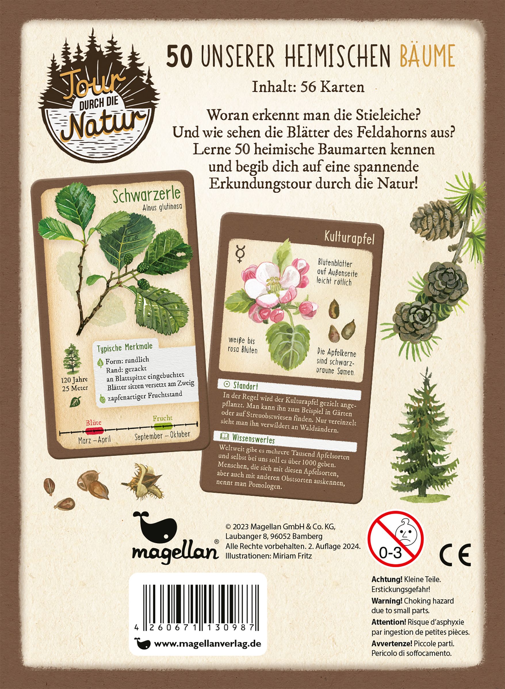 Tour durch die Natur - 50 unserer heimischen Bäume