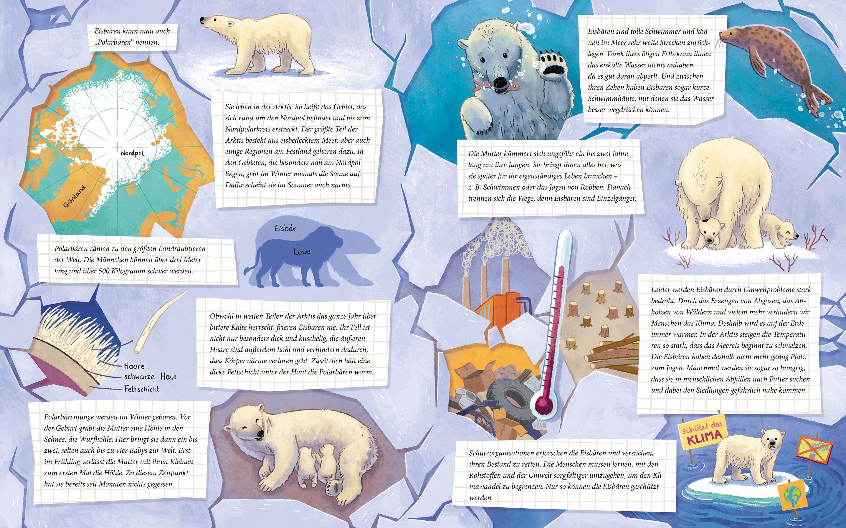 Der kleine Polarbär - Zu Hause in der Arktis