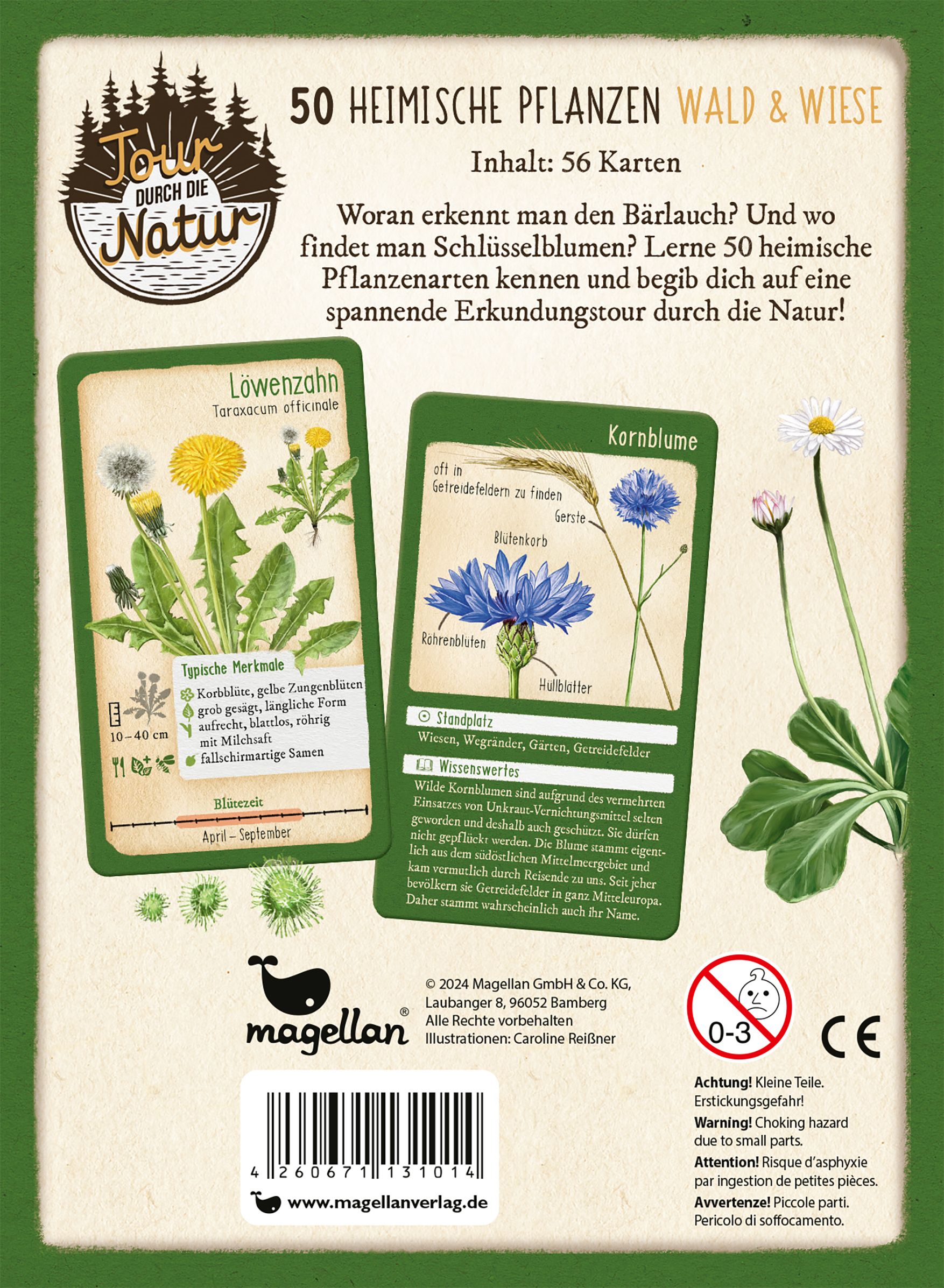 Tour durch die Natur - 50 heimische Pflanzen - Wald & Wiese