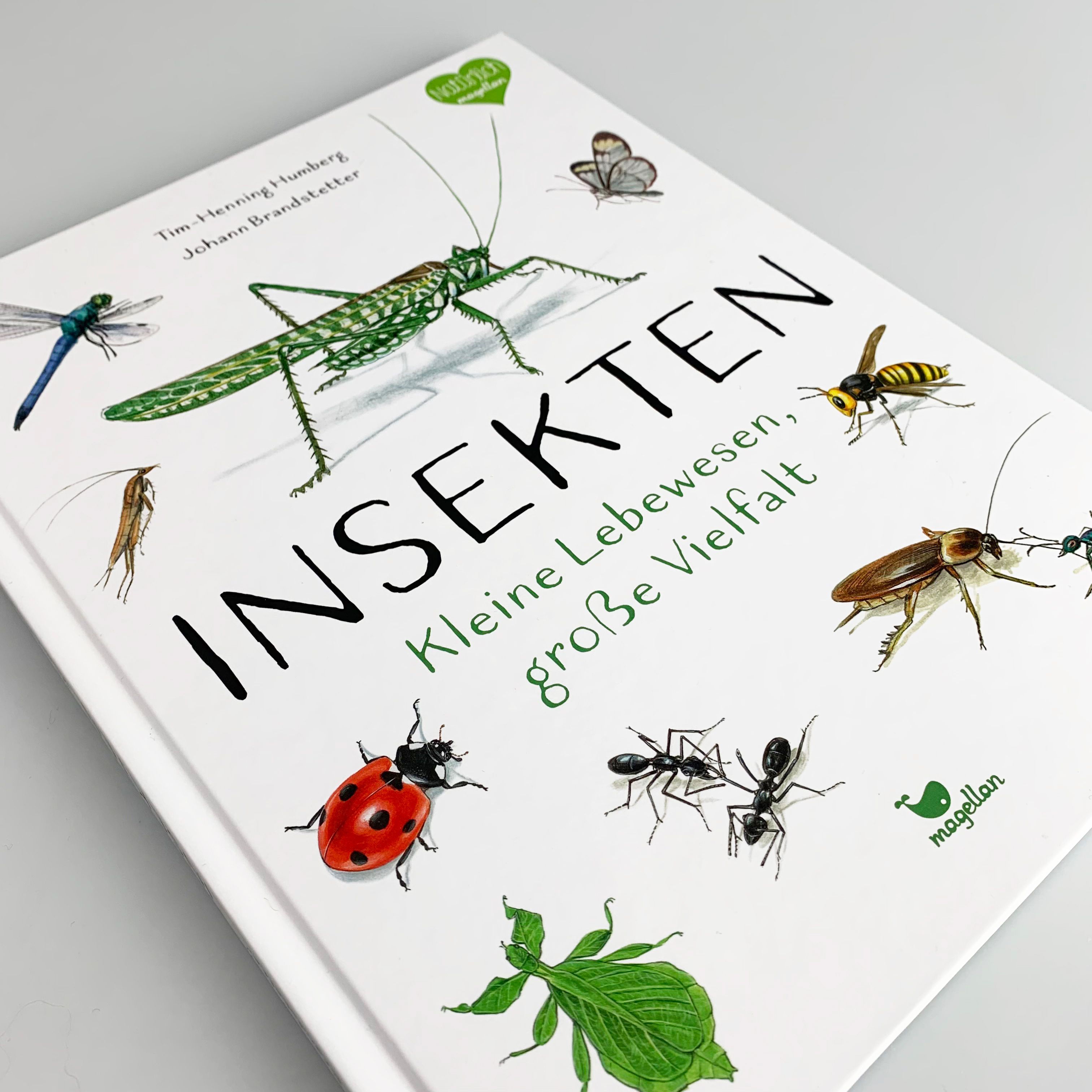 Insekten - Kleine Lebewesen, große Vielfalt