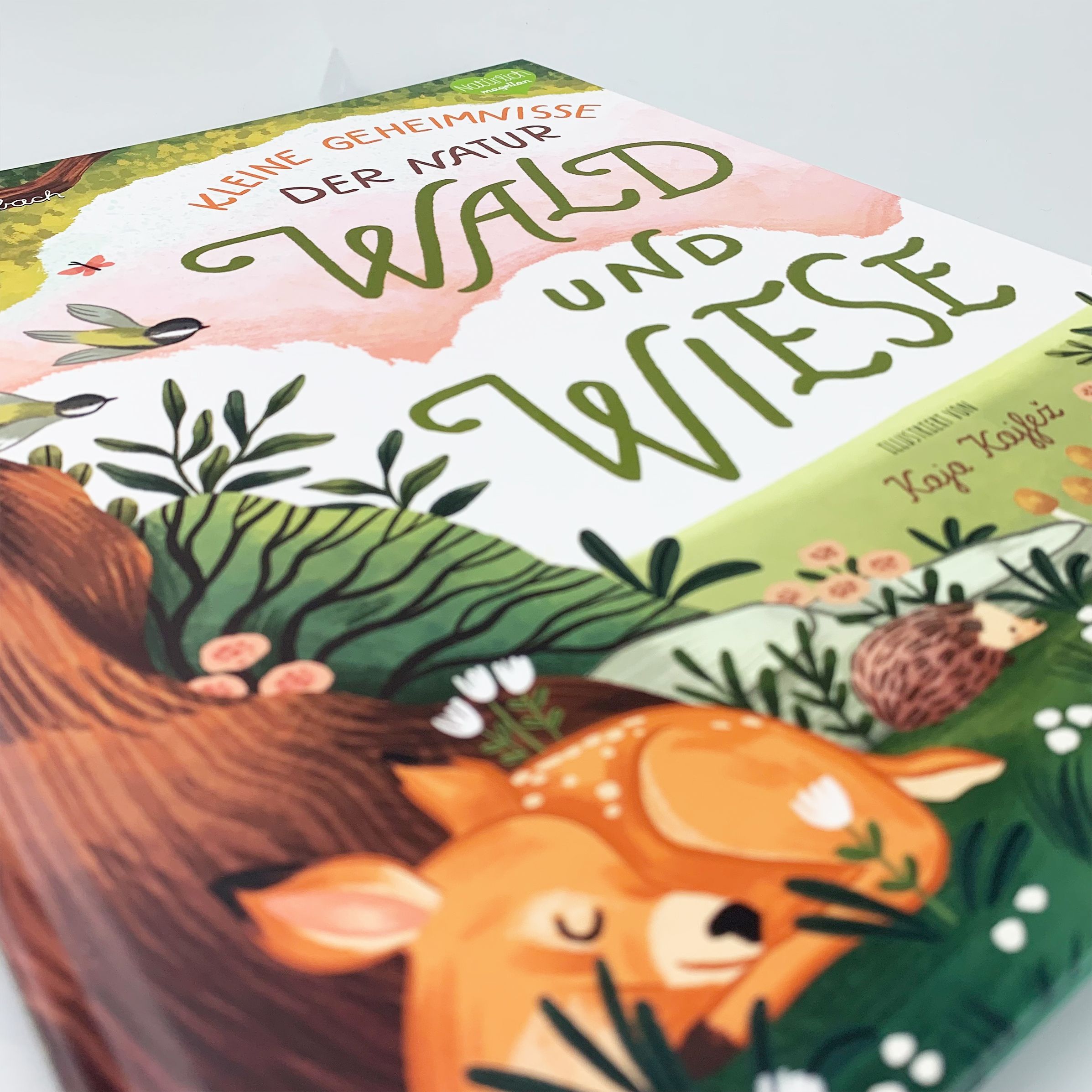 Kleine Geheimnisse der Natur - Wald und Wiese