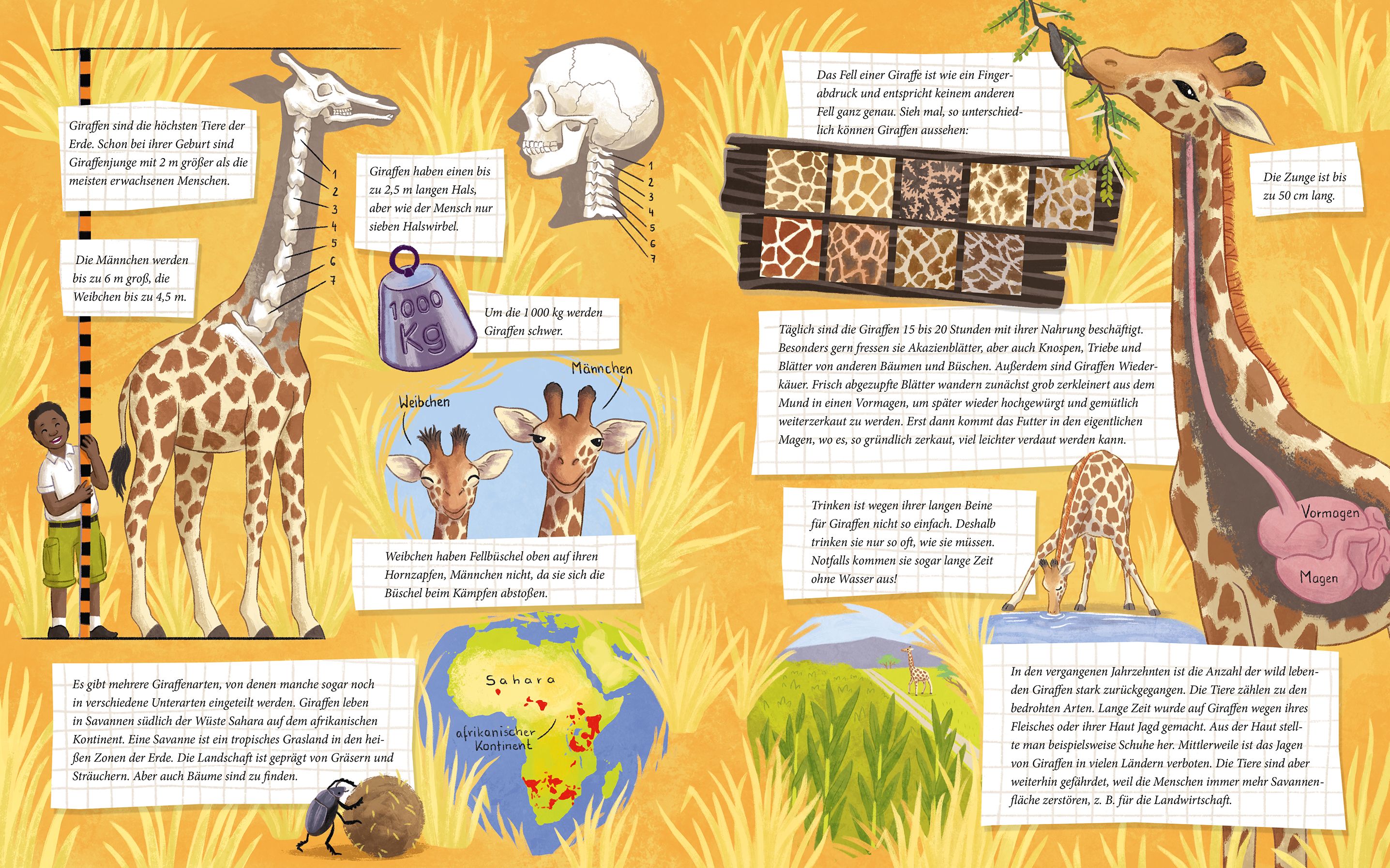 Die kleine Giraffe - Zu Hause in der Savanne