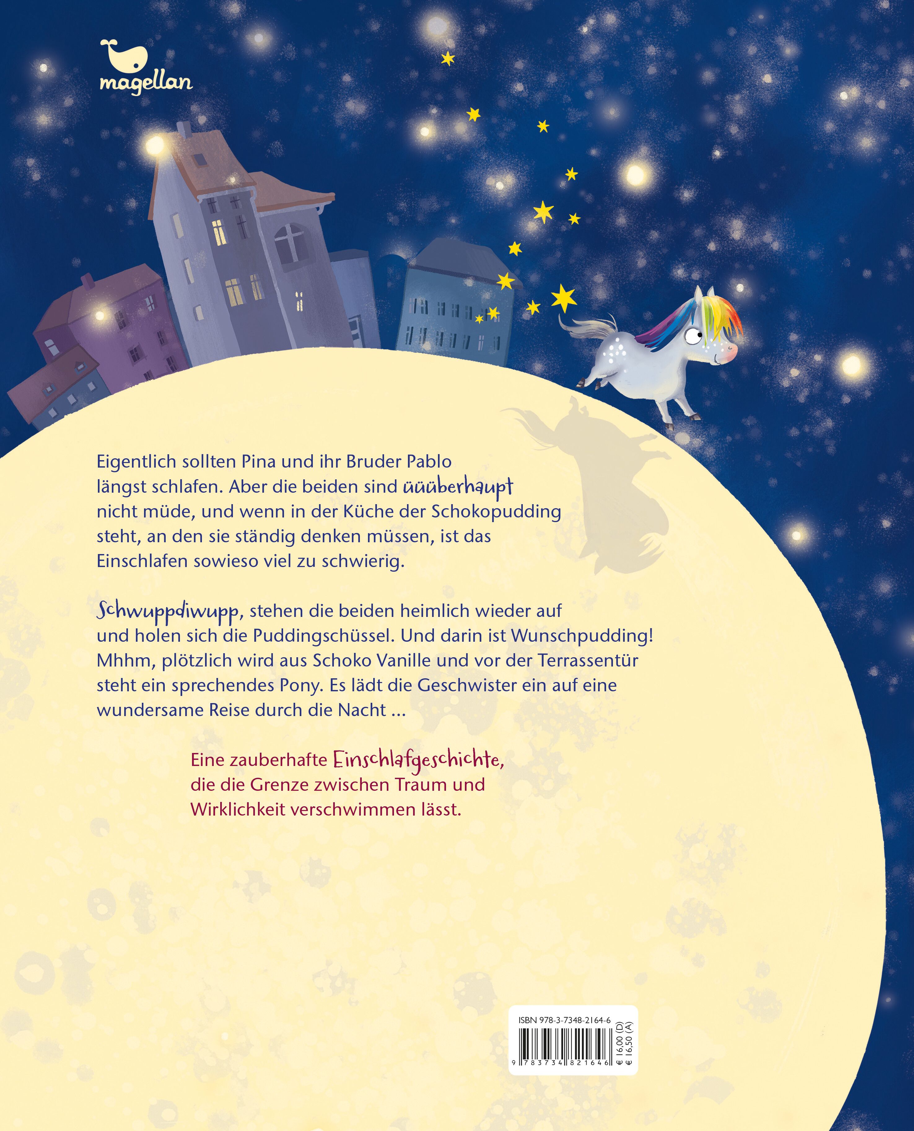 Pony, Mond und Sterne