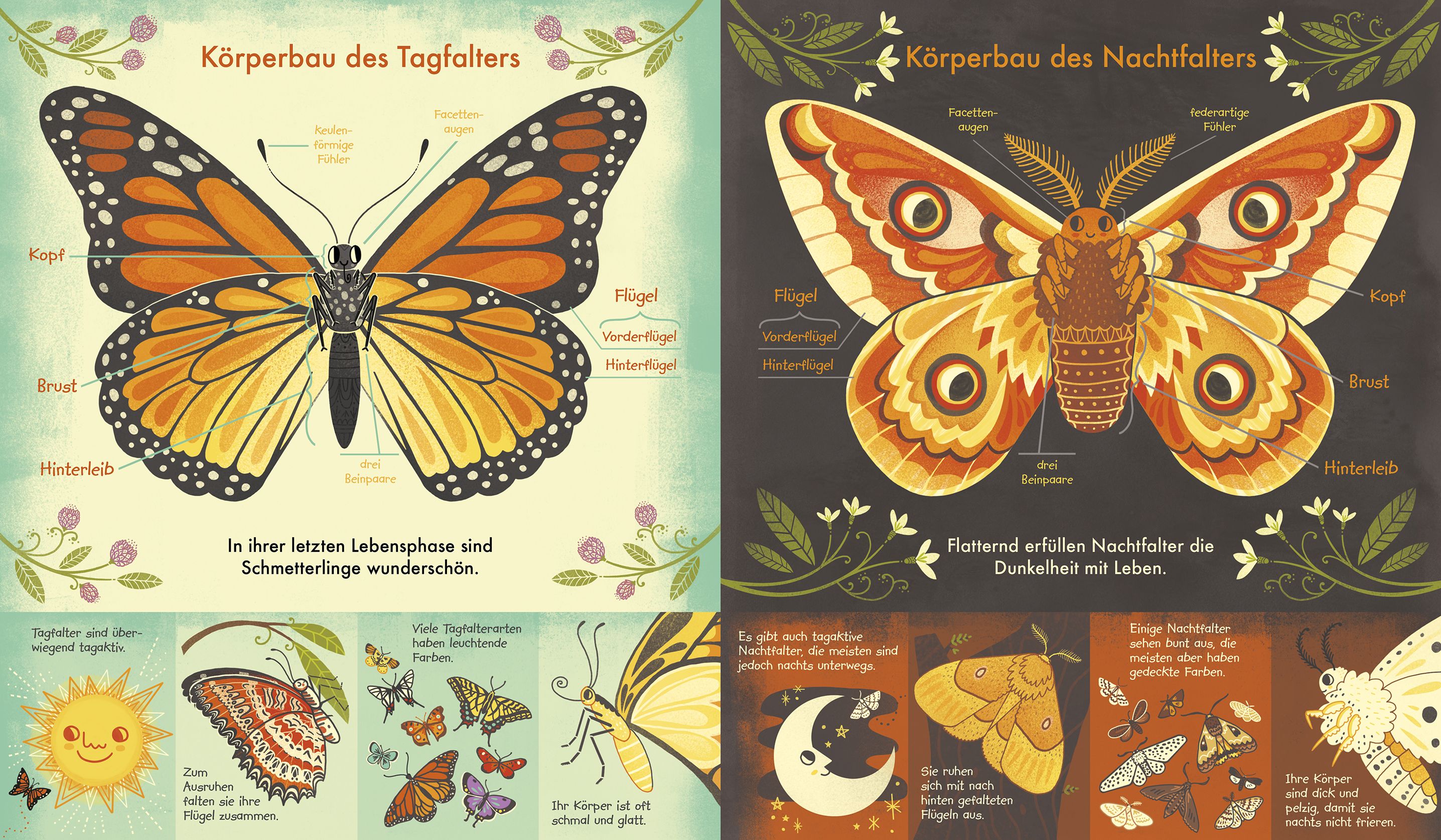 Das Wunder eines Schmetterlings - Wie sich die Natur verwandelt
