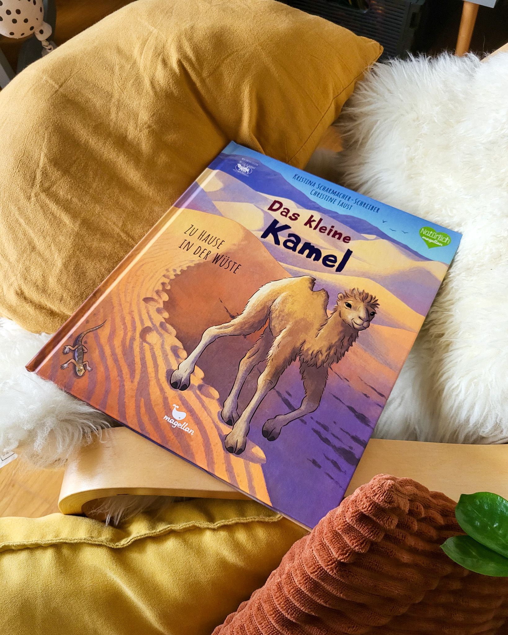 Das kleine Kamel - Zu Hause in der Wüste