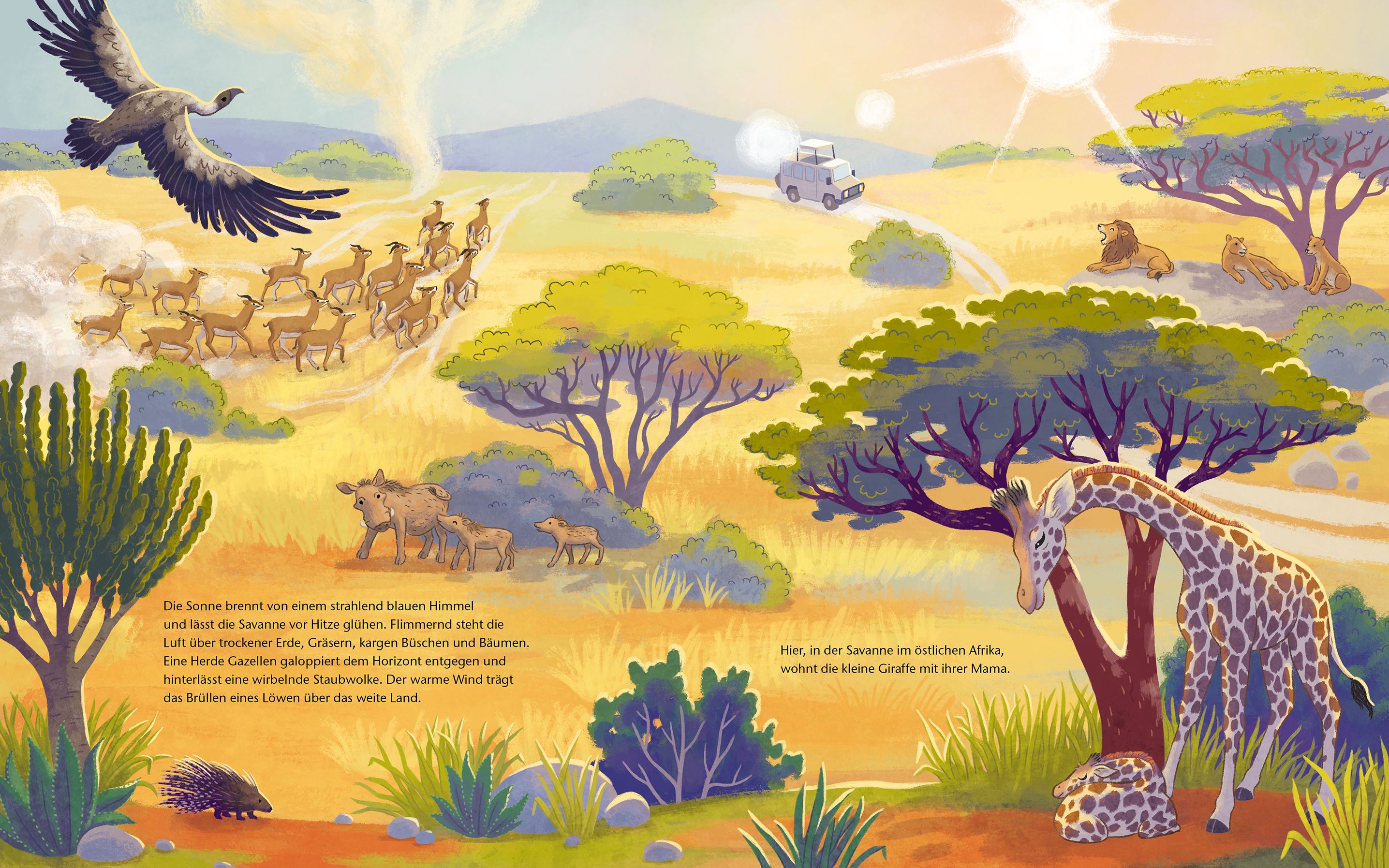 Die kleine Giraffe - Zu Hause in der Savanne